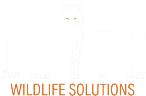 Elite Wildlife Solutions