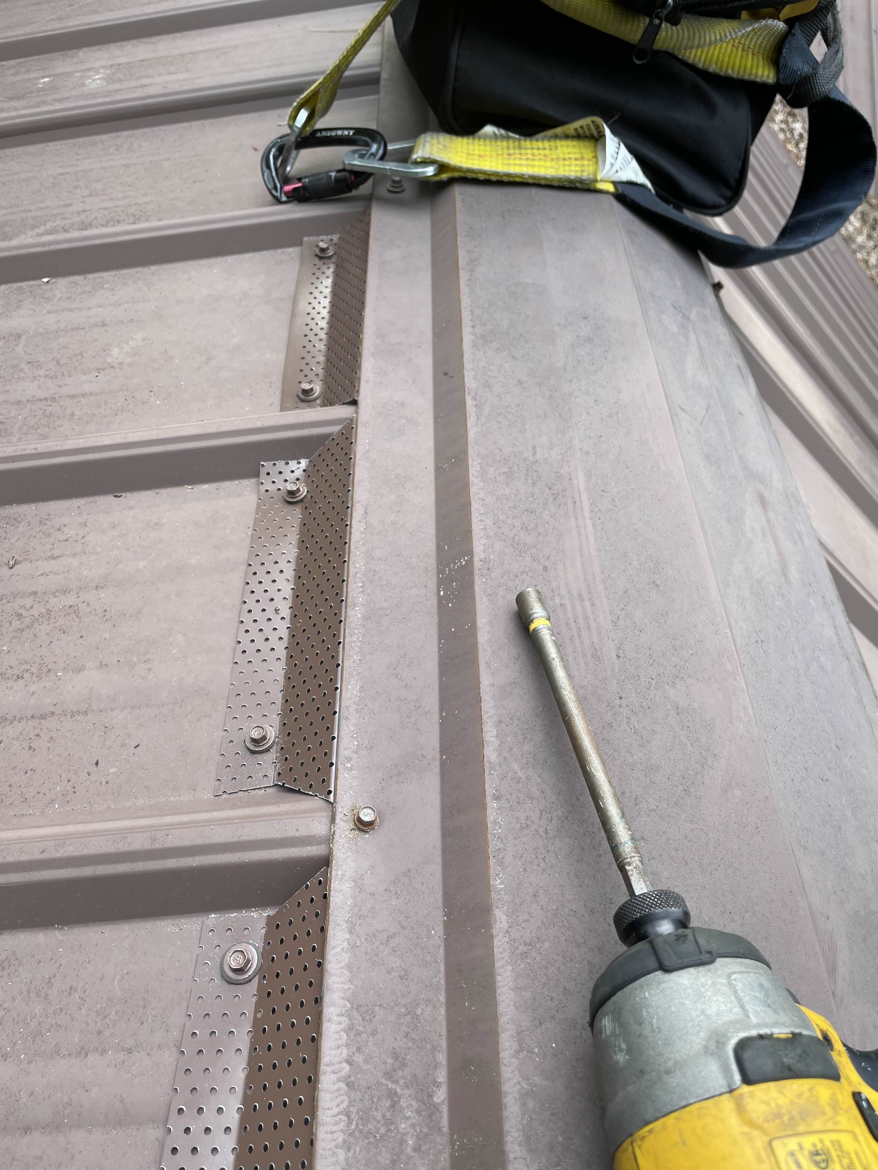 Professional wildlife exclusion work