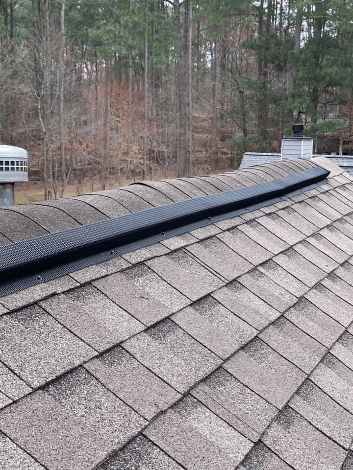 Roof vent exclusion to prevent bird entry