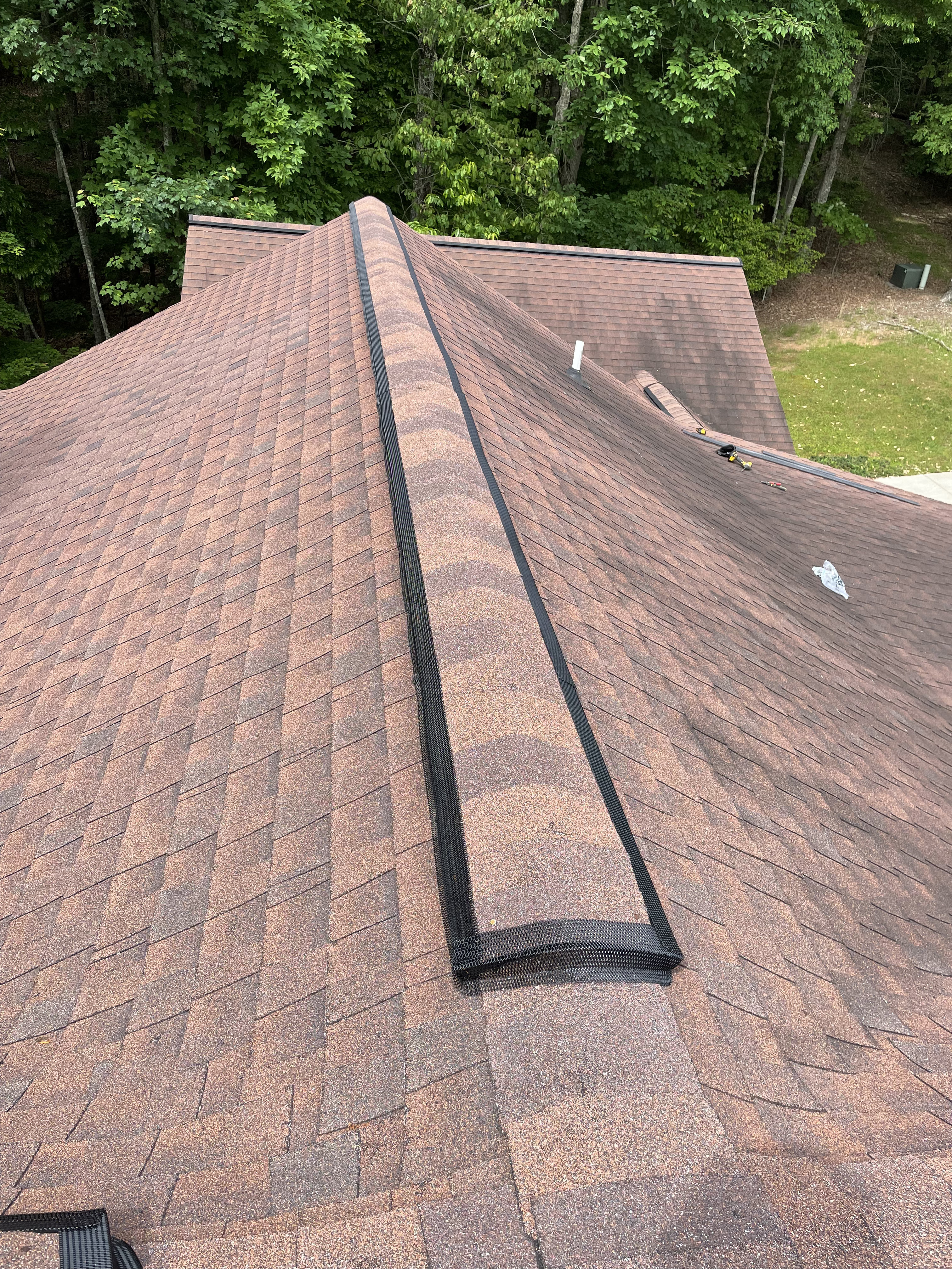 Wildlife prevention inspection of roofline and soffit area