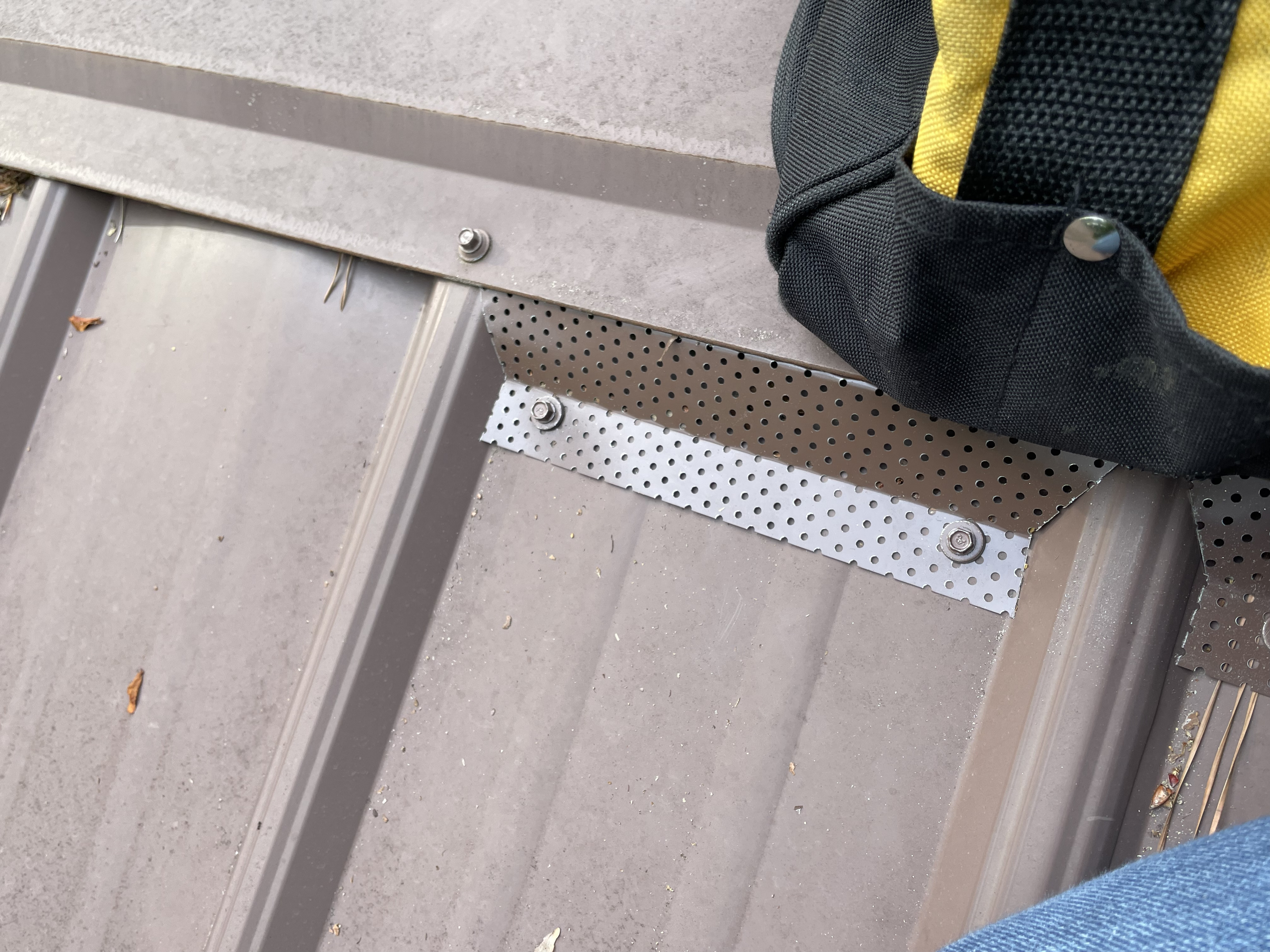 Raccoon damage repair and heavy-duty exclusion on residential soffit