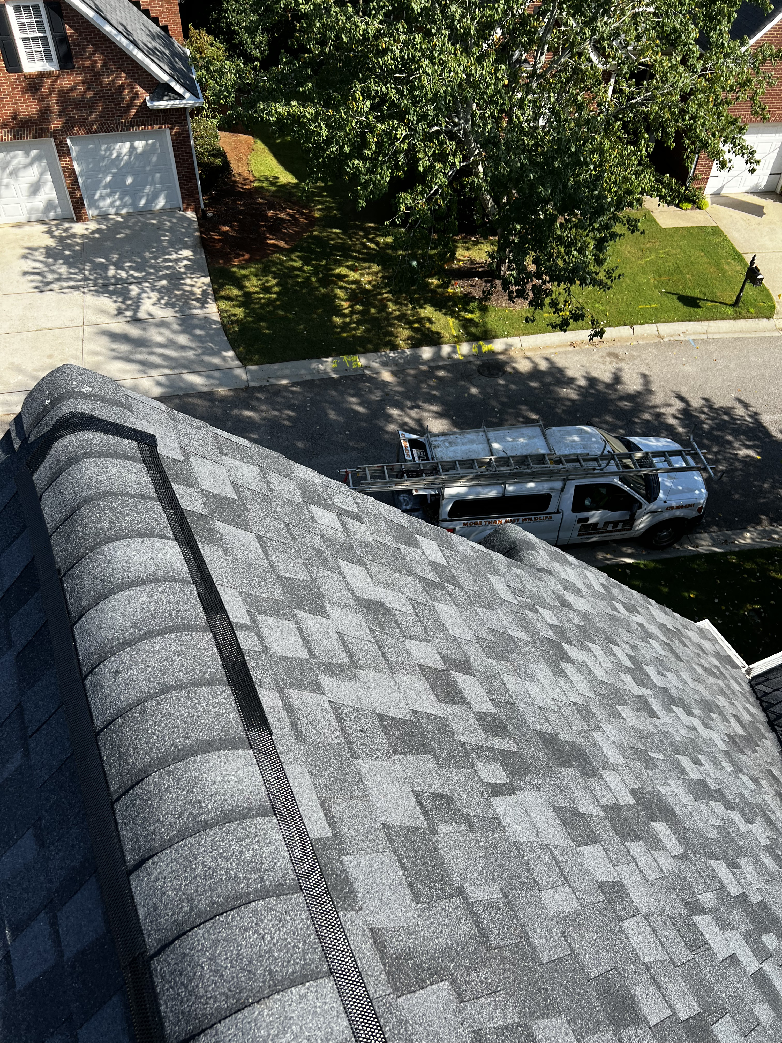 Professional contamination removal from attic space