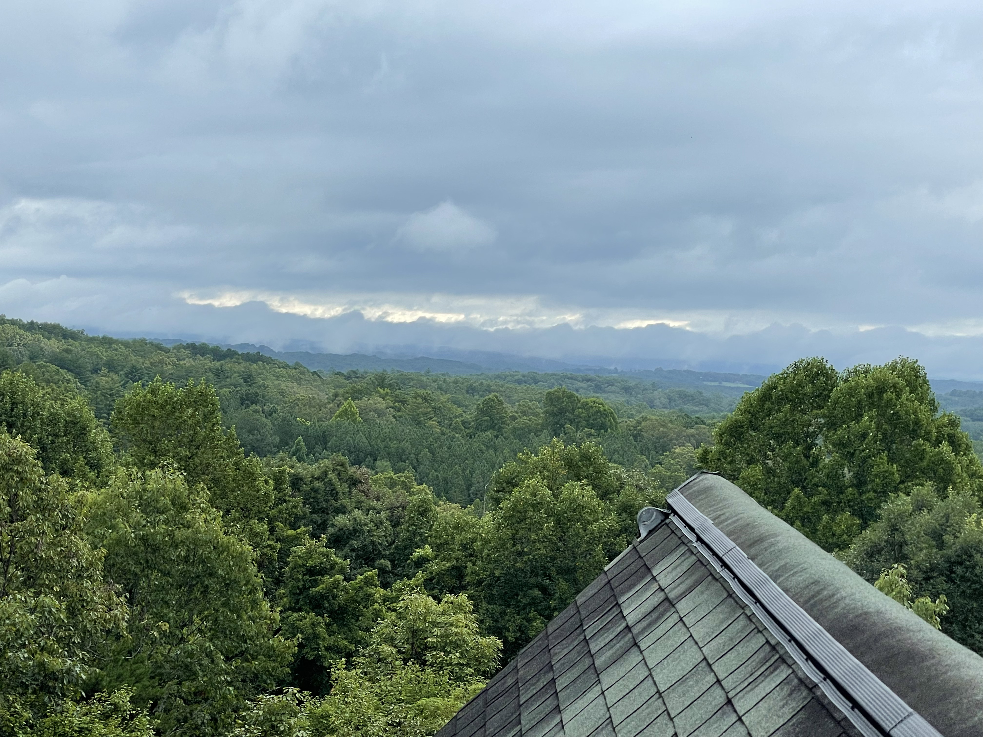 Wildlife entry point sealed with custom metal exclusion work