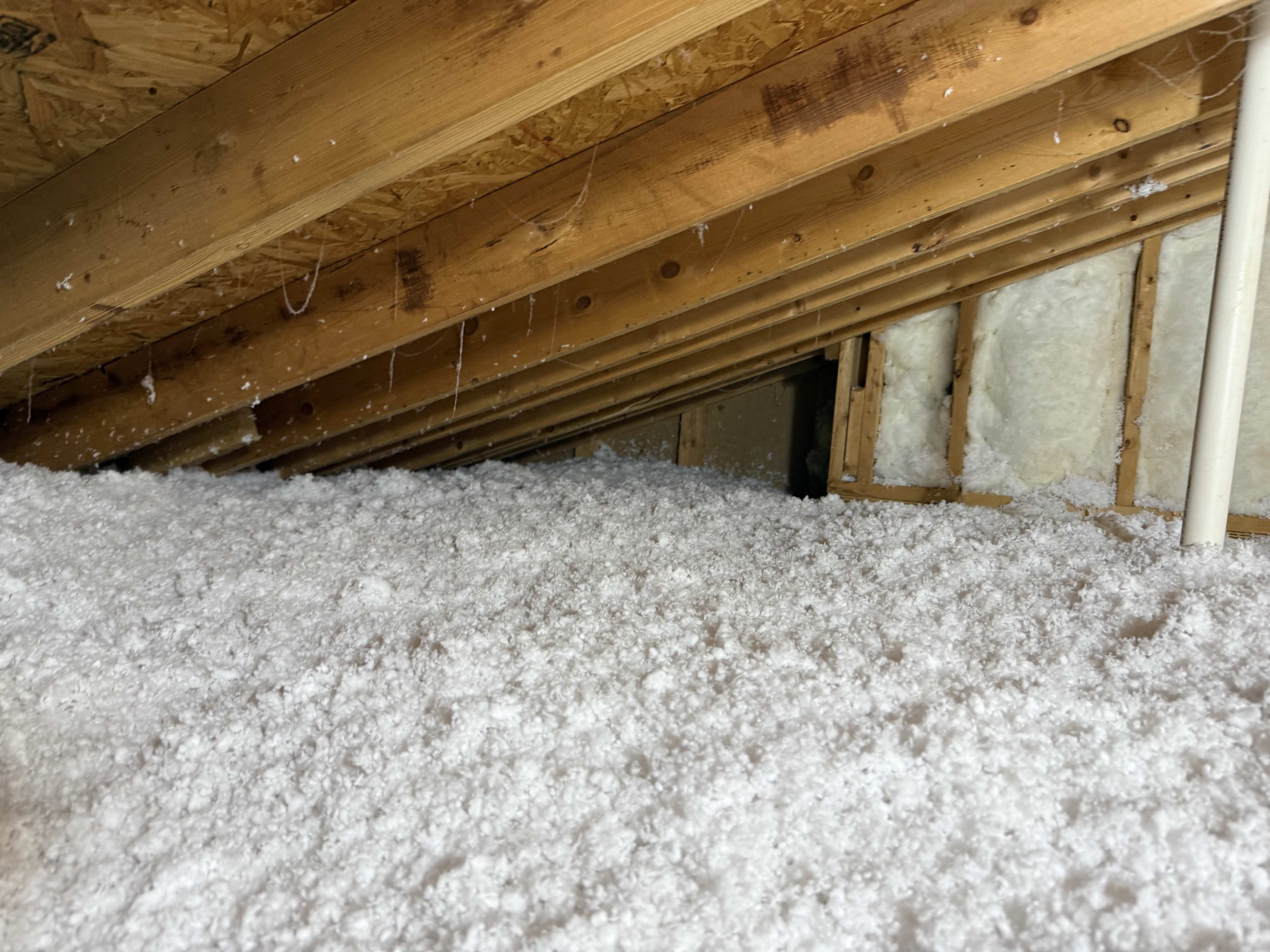 Full view of remediated attic with vaulted ceiling and floor insulation