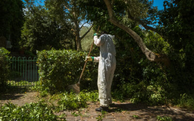 Early Spring Breeding: Why Late Winter Wildlife Activity Increases in Northern Georgia